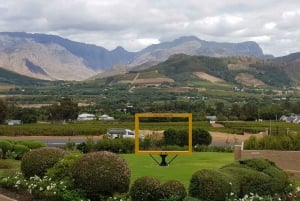 Franschhoek & Stellenbosch: Koko päivän viinimatka