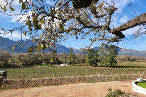 Franschhoek og Stellenbosch: Heldagstur i vinens tegn
