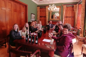 Franschhoek og Stellenbosch: Heldagstur i vinens tegn