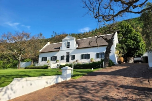 Franschhoek og Stellenbosch: Heldagstur i vinens tegn