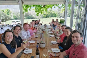 Franschhoek og Stellenbosch: Heldagstur i vinens tegn