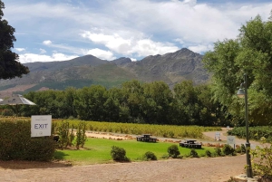 Franschhoek og Stellenbosch: Heldagstur i vinens tegn