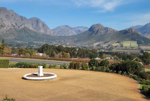 Franschhoek og Stellenbosch: Heldagstur i vinens tegn