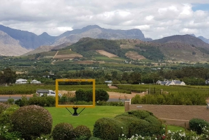 Franschhoek og Stellenbosch: Heldagstur i vinens tegn