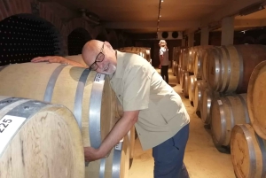 Franschhoek og Stellenbosch: Heldagstur i vinens tegn