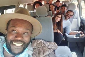 Franschhoek og Stellenbosch: Heldagstur i vinens tegn