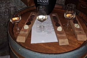 Franschhoek og Stellenbosch: Heldagstur i vinens tegn