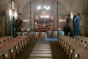 Franschhoek og Stellenbosch: Heldagstur i vinens tegn