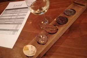 Franschhoek & Stellenbosch: Full-Day Wine Tour