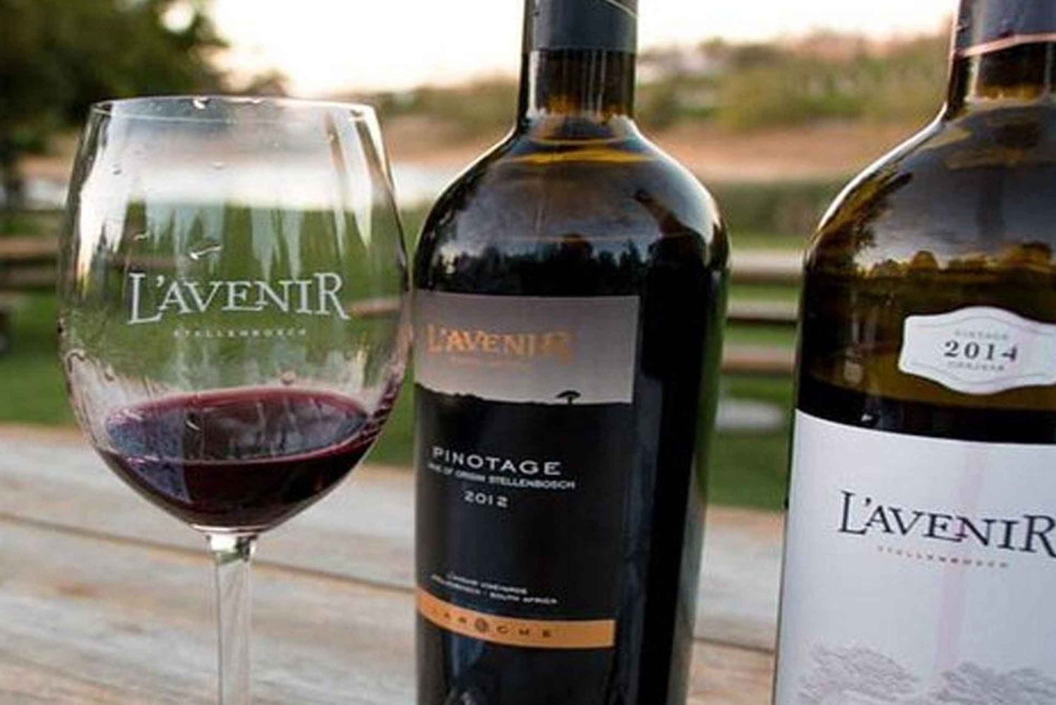 Experiência de dia inteiro de degustação de vinhos no elétrico de Franschhoek