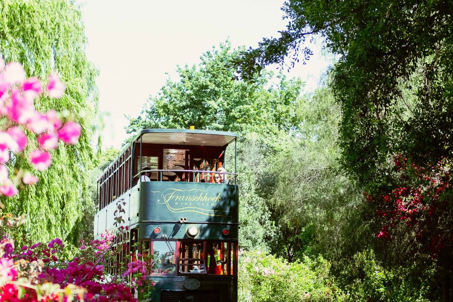 Franschhoek: Vinspårvagn Hop-On Hop-Off Tour