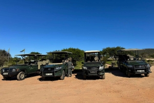 Fra Cape Town: 2-dagers safari på Garden Route