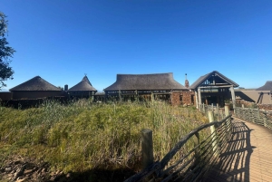 Fra Cape Town: 2-dagers safari på Garden Route