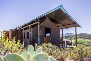 From Cape Town: Western Cape 2-Day Wildlife Glamping +Safari