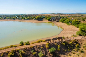 From Cape Town: Western Cape 2-Day Wildlife Glamping +Safari