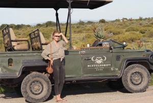 From Cape Town: 2-Day Glamping and Wildlife Safari