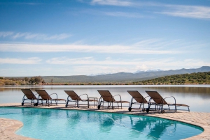 From Cape Town: Western Cape 2-Day Wildlife Glamping +Safari