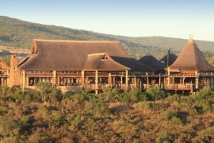Vanuit Kaapstad: 2-daagse safari @ 4Star Garden Route Game Lodge