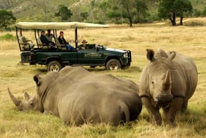From Cape Town: 3-Day Garden Route Highlights and 4x4 Safari