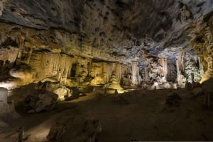 From Cape Town: 3-Day Garden Route Highlights and 4x4 Safari