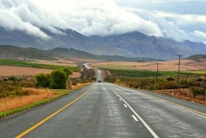 From Cape Town: 3-Day Garden Route Highlights and 4x4 Safari