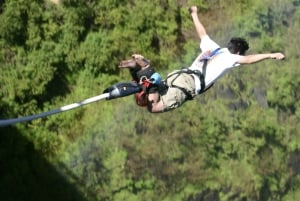 From Cape Town: 3-Day Garden Route Highlights and 4x4 Safari