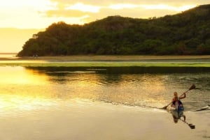 From Cape Town: 3-Day Garden Route Highlights and 4x4 Safari