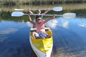 From Cape Town: 3-Day Garden Route Highlights and 4x4 Safari