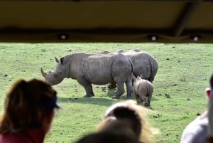 From Cape Town: 3-Day Garden Route Highlights and 4x4 Safari