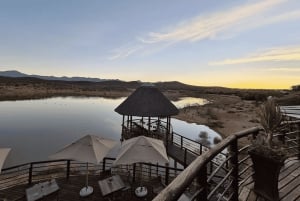 From Cape Town: 3-Day Garden Route Highlights and 4x4 Safari