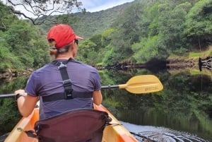 From Cape Town: 3-Day Garden Route Highlights and 4x4 Safari