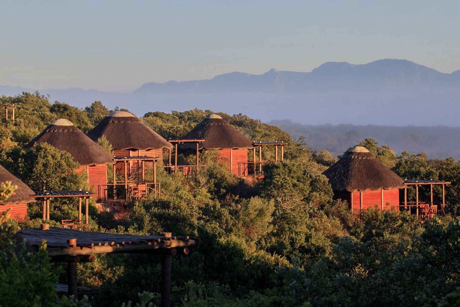 Fra Cape Town: 3-dages Garden Route-safari og kysttur