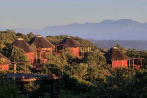 Fra Cape Town: 3-dages Garden Route-safari og kysttur