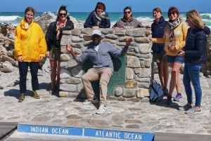 Fra Cape Town: 3-dages Garden Route-safari og kysttur