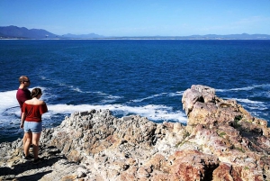 Fra Cape Town: 3-dages Garden Route-safari og kysttur