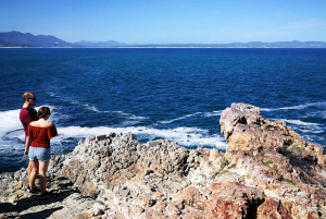 Fra Cape Town: 3-dages safari og kysttur med overførsel