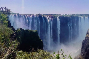 Из Кейптауна: 3-дневный тур к водопаду Виктория