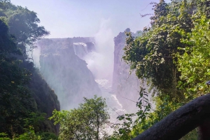 Из Кейптауна: 3-дневный тур к водопаду Виктория