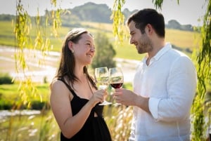 Da Città del Capo: Tour del vino in 3 regioni con 3 tenute, 15 vini