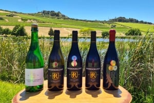 Cape Town: Drik 15 vine på en vintur i 3 regioner med ost