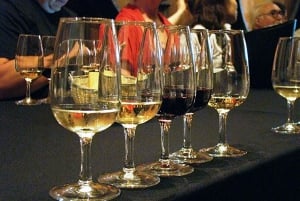 Von Kapstadt aus: 3 Regionen Weintour mit 3 Weingütern, 15 Weinen