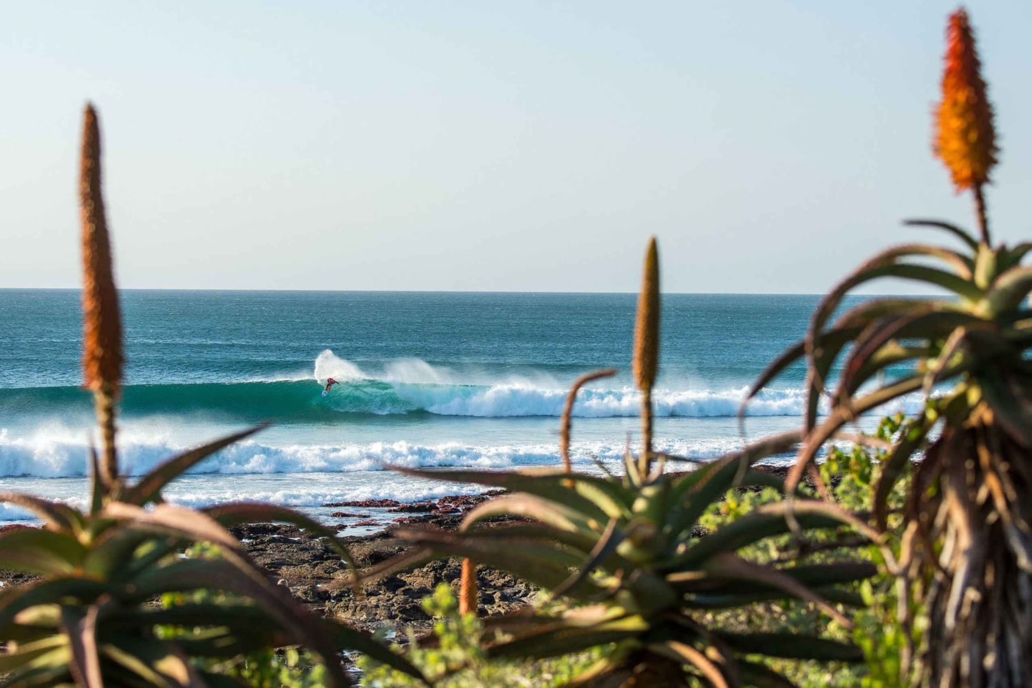 Vanuit Kaapstad: 5-daagse Best of Garden Route en Addo Safari