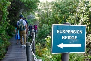 Vanuit Kaapstad: 5-daagse Best of Garden Route en Addo Safari