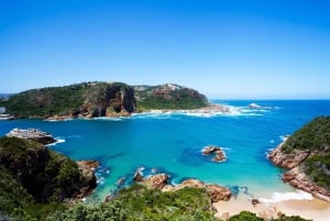 Vanuit Kaapstad: 5-daagse Best of Garden Route en Addo Safari