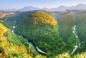 Vanuit Kaapstad: 5-daagse Best of Garden Route en Addo Safari