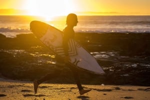 Vanuit Kaapstad: 5-daagse Best of Garden Route en Addo Safari