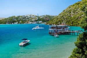 Vanuit Kaapstad: 5-daagse Best of Garden Route en Addo Safari