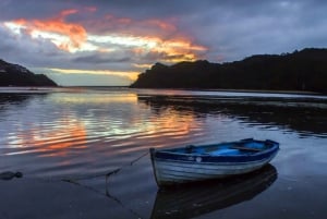 Vanuit Kaapstad: 5-daagse Best of Garden Route en Addo Safari