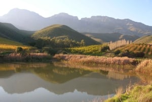 Vanuit Kaapstad: 5-daagse Best of Garden Route en Addo Safari