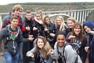 Vanuit Kaapstad: 5-daagse Best of Garden Route en Addo Safari